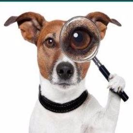 I am a London veterinarian, sharing mindfulness, wellbeing and productivity ideas for vets. Some of these ideas changed my life. I hope they change yours.