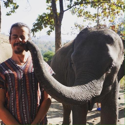 ziftin_peki's profile picture. Lead front-end developer