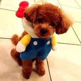 ug12z_nwk9q1stb's profile picture. new telephone follow me ← ♡♡ high school girl next road = fashion univ ☺︎ 373