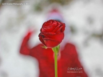 FastbackIsela's profile picture. {مي لا تقدر بثمن وابيلانيكرره الزمن}