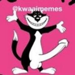 Welkom alle poesmal @kwaaimemes fans. Hier is waar jy die vuilste kak in Suid-Afrika kry. Submit jou kak, maar net as dit fucked up is!