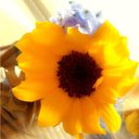 ◯▲◇ (@01himk) Twitter