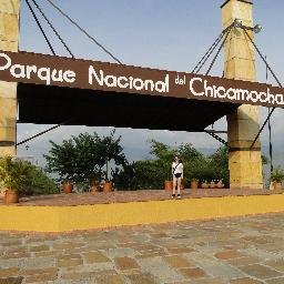 julianmora20111's profile picture. 