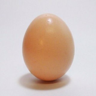 asagao_bakuro's profile picture. 【クラクラ専用アカウント】花も草も木も、虫も魚もあらゆる生き物が好きですが、クサイ人間が嫌いです。その中でも私は淀み、濁り、荒んだ黒い人。よろしくお願いします。一生懸命に前を見て頑張ります。