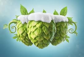 A Hops farm in eastern Indiana owned and operated by 3 brothers and family we will look to serve the local and surrounding Craft breweries with quality Hops