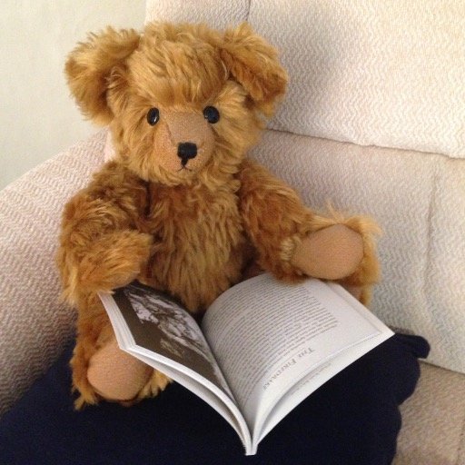 Mustard Bear muses on bookish things & helps @ Bath Moorland rd Library story times,Sat 10:30-11am. If you love stories, adventure & colouring then do join us!