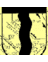 terijoki's profile image