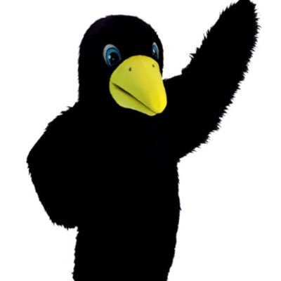 fredthecrowe's profile picture. 