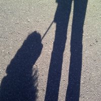 Jo (@nutrifrick) 's Twitter Profile