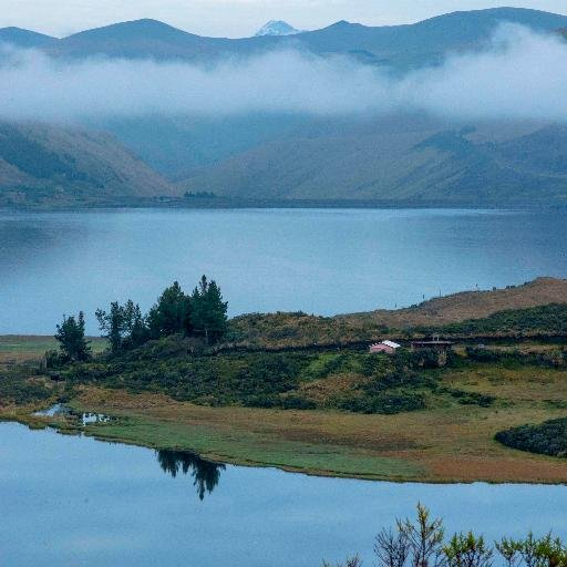 mentefactory's profile picture. 