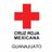 CruzRojaGto's profile image