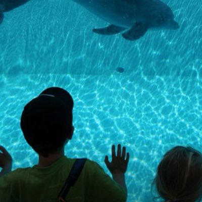 garyandersen4's profile picture. 