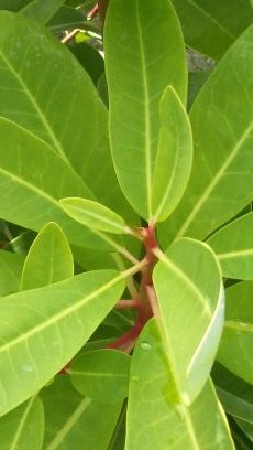 FotoygraficaA's profile picture. 