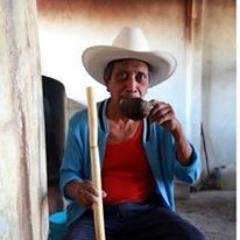 Mezcal de Maguey Papalote (Agave Cupreata) Guerrero, México / Producto campesino elaborado artesanalmente cuidando la calidad desde el monte hasta la botella