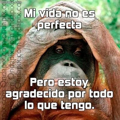 PaulBuelz's profile picture. #Happy#Music#Dance