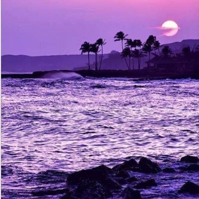 Parameters666's profile picture. 