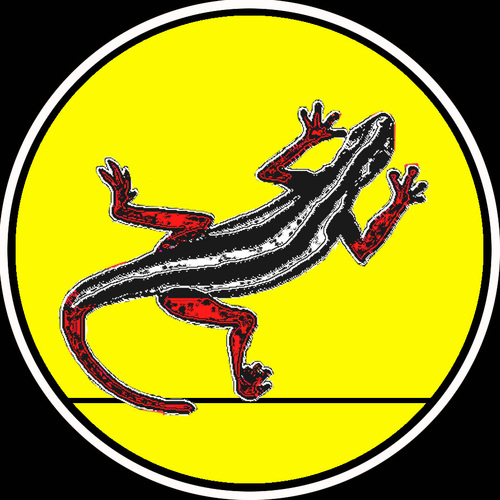 musicartstar's profile picture. Music, art & education. 1788 When The Sky Fell Down is now FREE at You Tube with a word-document for schools. Please share! Album also available..