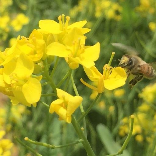 AlanGao323's profile picture. 