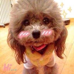 sylviaxhxh's profile picture. 