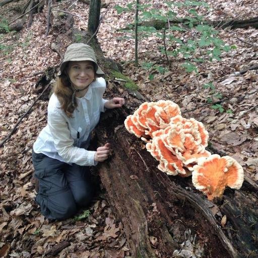 Mycorrhizal ecology, restoration ecology, soil microbiology | Assist. Prof. @ Washington State Univ. she/her