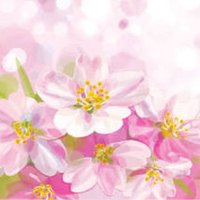 くだ (@aozorarappa_239) 's Twitter Profile