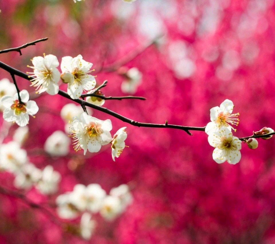 08148d3eb11d460's profile picture. 