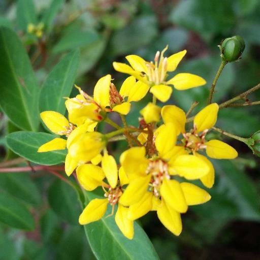 jkfews1's profile picture. Only #Christ of the Last Days Can Give Man the Way of Eternal Life. https://t.co/niOnnSlCvt