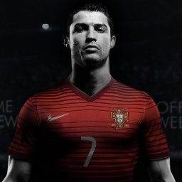 chieccocthan's profile picture. 