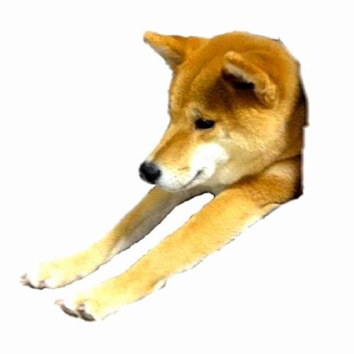 きむきむさんのプロフィール画像