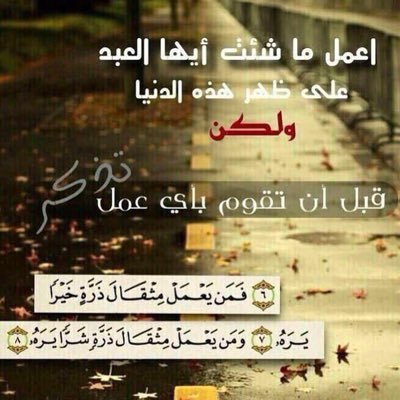 alsamk511's profile picture. 