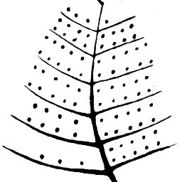 itunaconcierto's profile picture. Ekonomia Itunaren eta Foru Ogasunen Ikerketarako Agiritegia / Centro de Documentación Investigación del Concierto Económico y las Haciendas Forales @upvehu