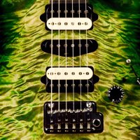 SeriousAbout Guitars (@seriousguitars) 's Twitter Profile
