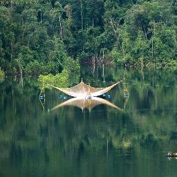 nguyenhuylovemy's profile picture. 