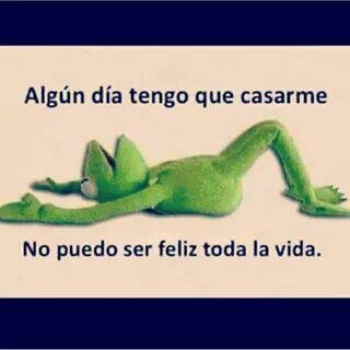 yorkcres205's profile picture. 