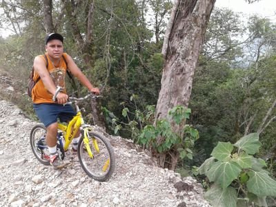 LluinyRamirez's profile picture. 