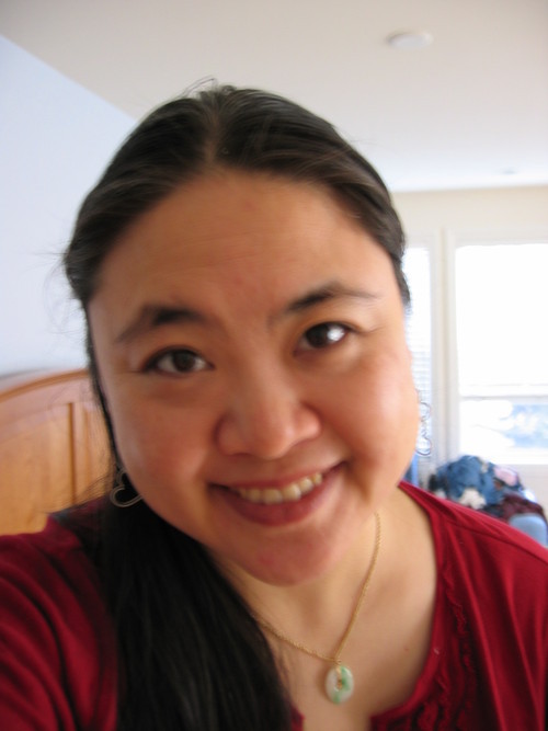 Software developer, mom, wife, violinist, Internet junkie. I love food, books, and combinations thereof. 
m: @girlhacker@pnw.zone b: @girlhacker.bsky.social