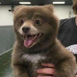 haomengdao's profile picture. 