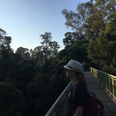 MJNuijten's profile picture. 