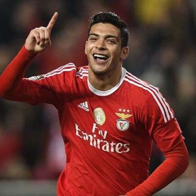 PORTUGUESA24's profile picture. ❣ BENFICA•1904❣•RAÚL.J•❣