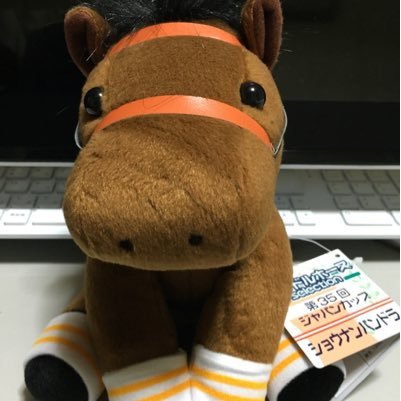 中央競馬重賞🐴のみですが、ぼちぼち楽しんでます。