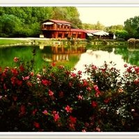 ristorante L'OLANDESE VOLANTE (@lolandesevolant) 's Twitter Profile