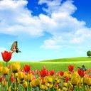 eymen sancar (@198000Eymen) Twitter
