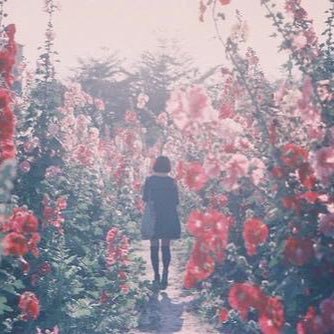 K_Intern_V's profile picture. 