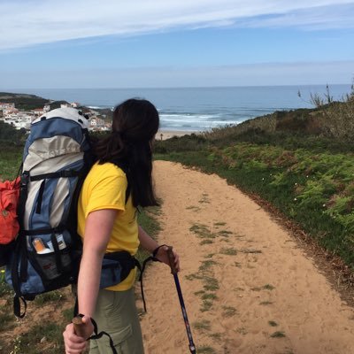 KLJohann's profile picture. Learning Support Teacher at the International School of Brussels