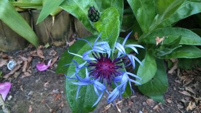 morwenas's profile picture. Textile and world cultures' artefacts Conservator