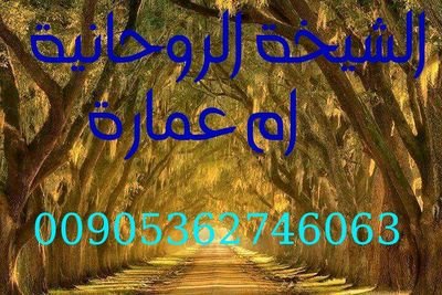 الشيخة الروحانية والفلكية ام عمارة
لتسهيل زواج العوانس ورد المطلقة وجلب الحبيب وفك السحر وعلاج القرين بإذن الله
للتواصل واتس اب
00905513980584