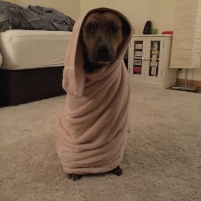 letilamadrid's profile picture. 