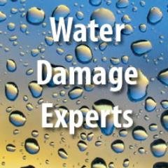 DryTechRest1's profile picture. 