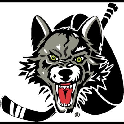 TeamGreyWolfs's profile picture. Home of the Grey Team 4-4-2