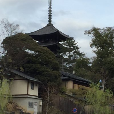 料理が愉しくなってくることで晴耕雨読が充実してきました。良い音楽を聴けている日々です。耳が聞こえなくなるほど(笑)音楽を聴きたいそんな思いが実現しつつあります。名庭園も巡っています。